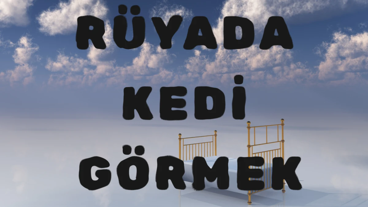 Rüyada Kedi Görmek Ne Anlama Gelir?