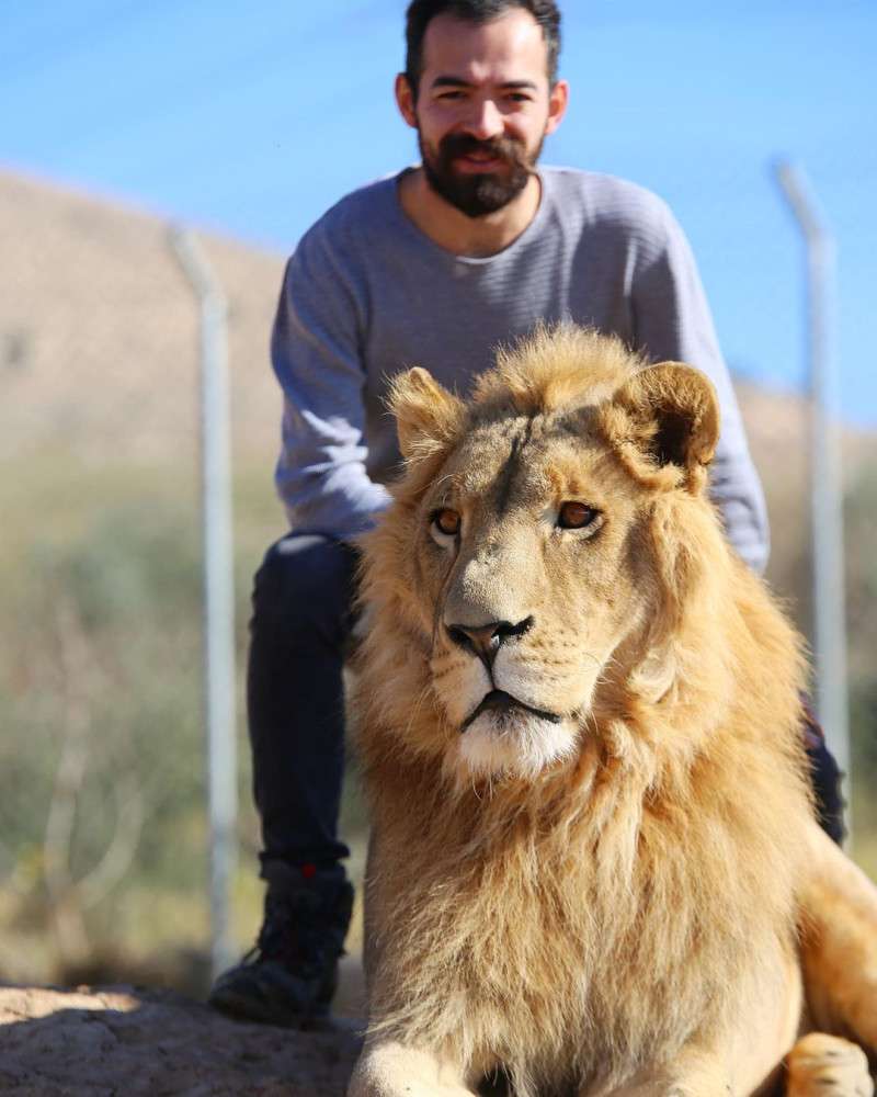 “Sevdiğim en enteresan hayvan, Puhu kuşuydu.” Gördüğü Tüm Hayvanları Sevmeye Çalışan Gezgin: Harun Köybaşı